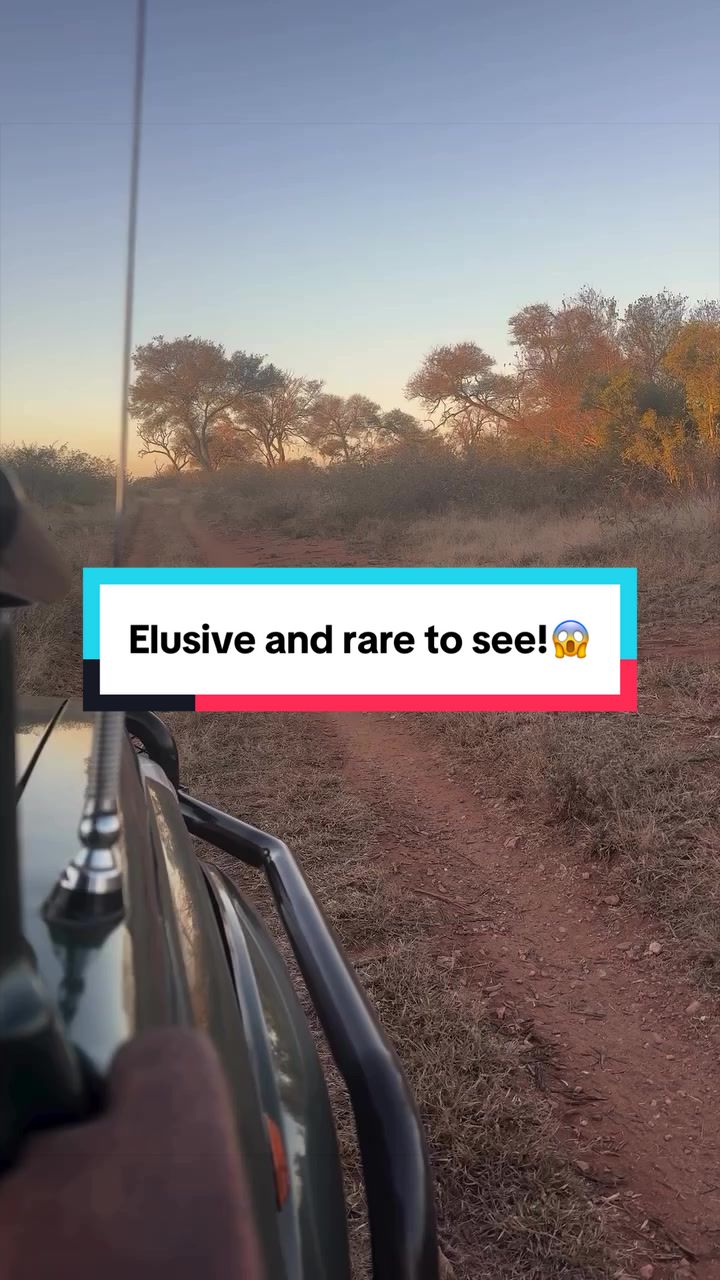 @Milana Tours and Safaris