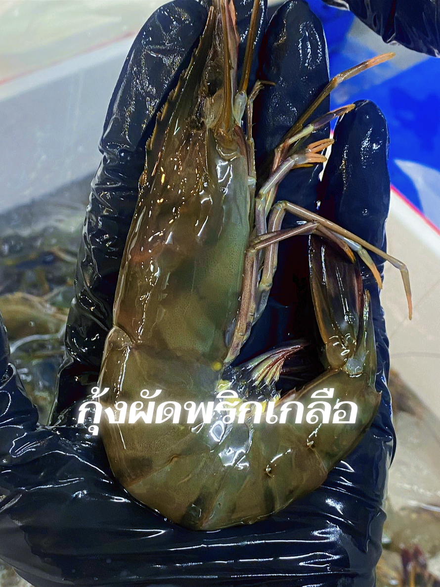 @ครัวโต้รุ่ง บางแสน