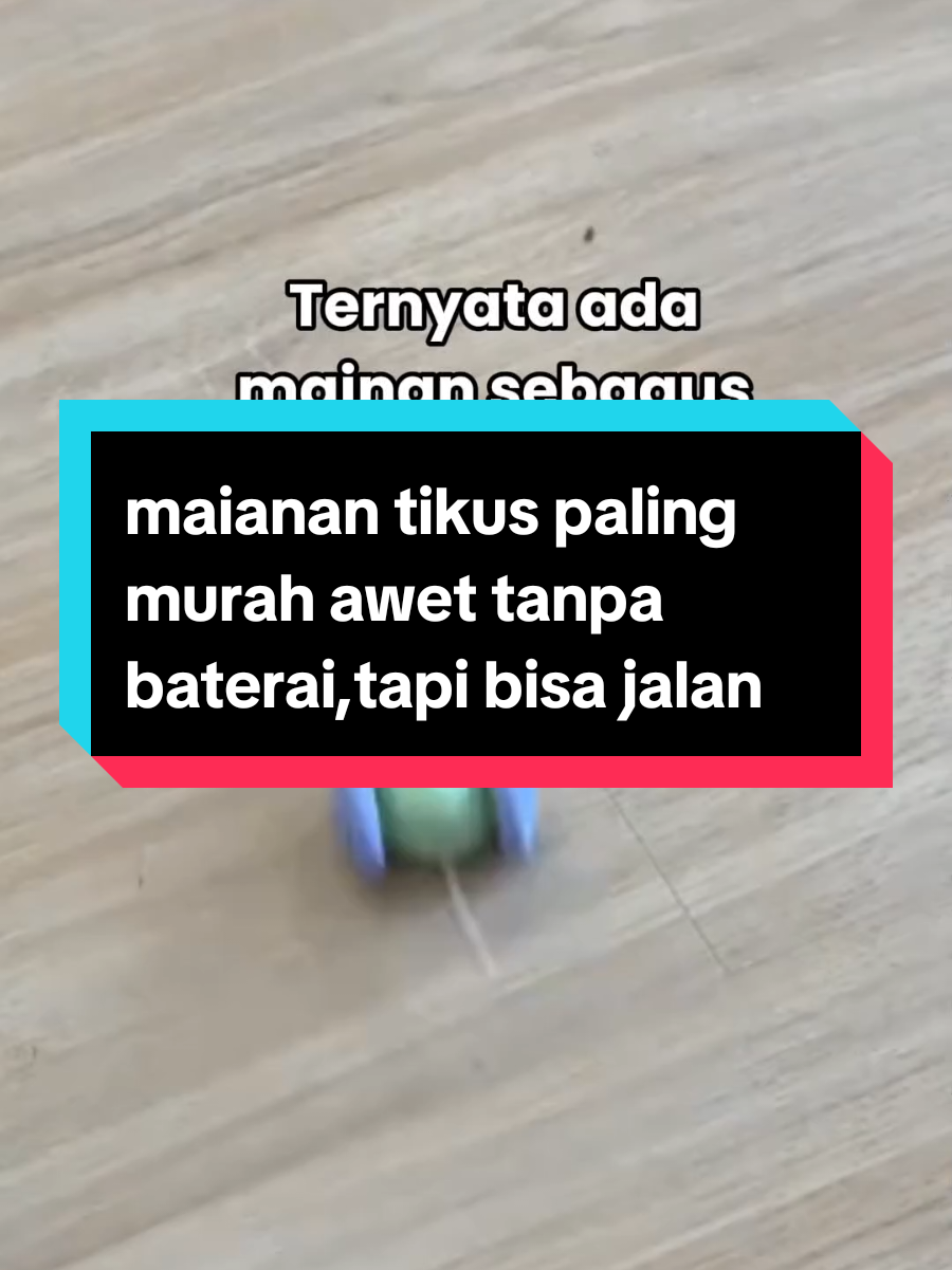 @dunia kucing