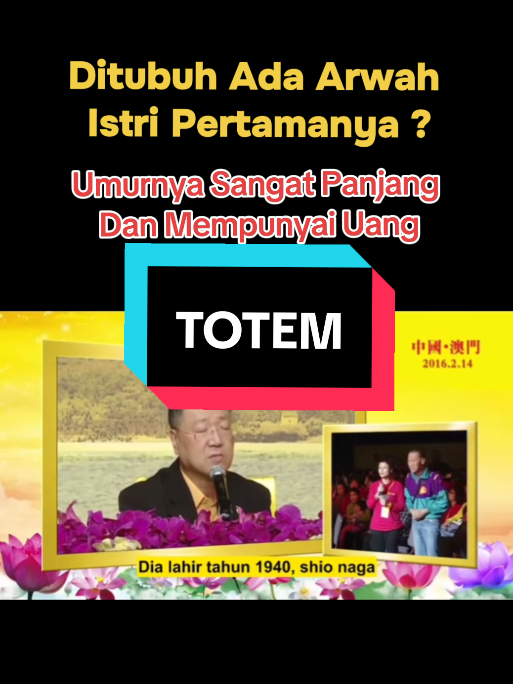 @MASTER LU