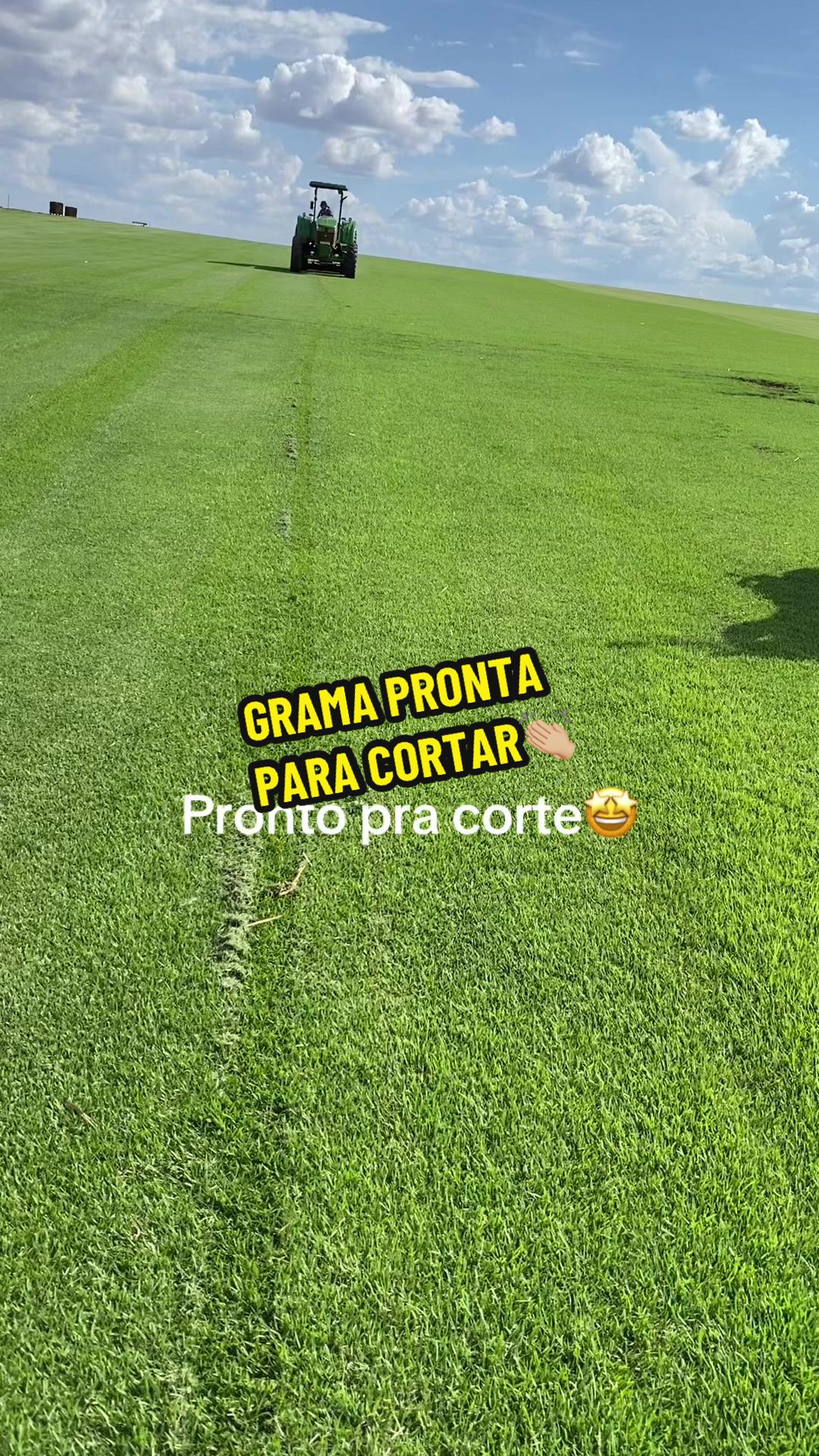 @Alexsandro Grama Itograss