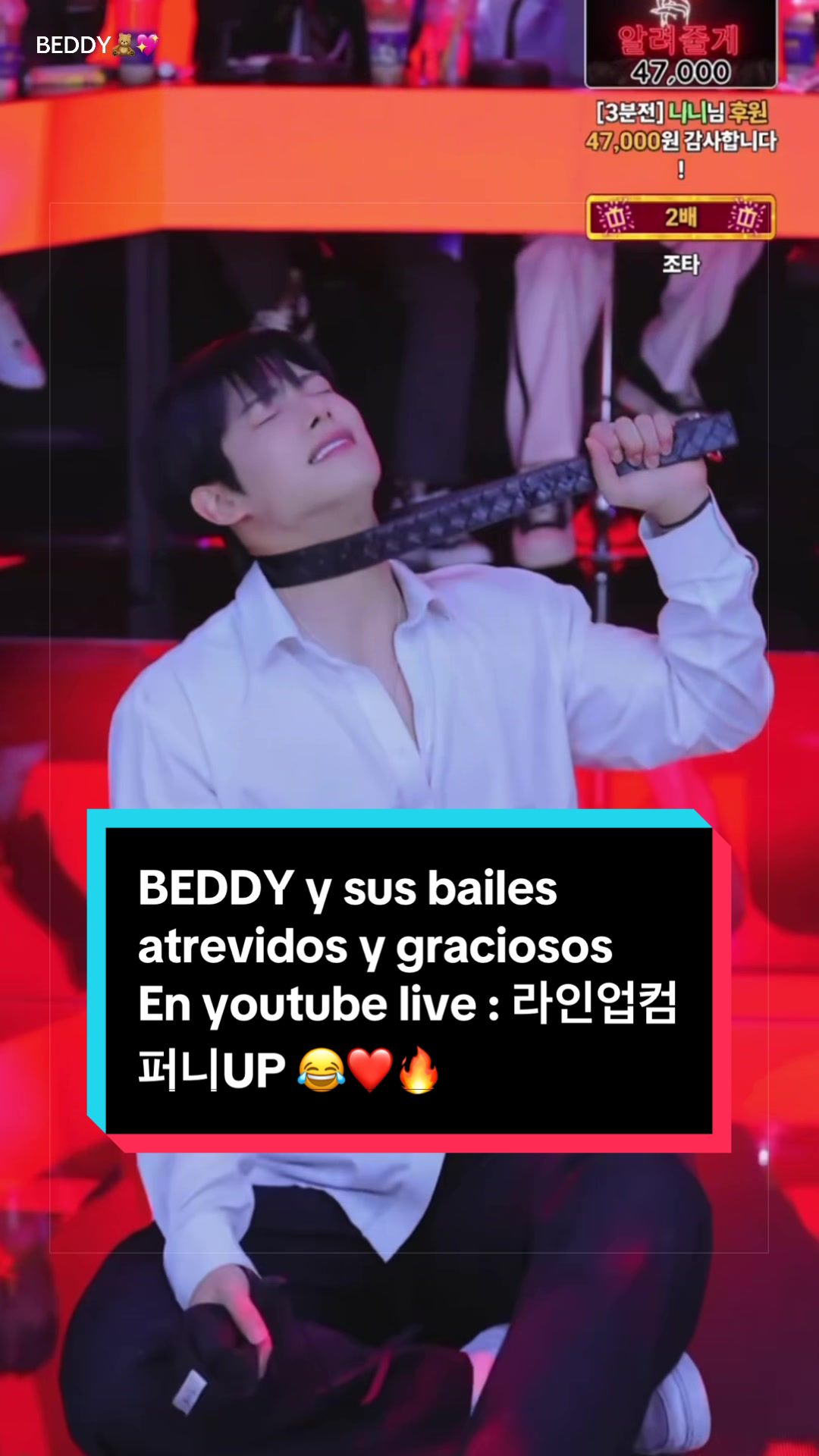 @🧸💖Chichibeddy🇰🇷🇩🇴