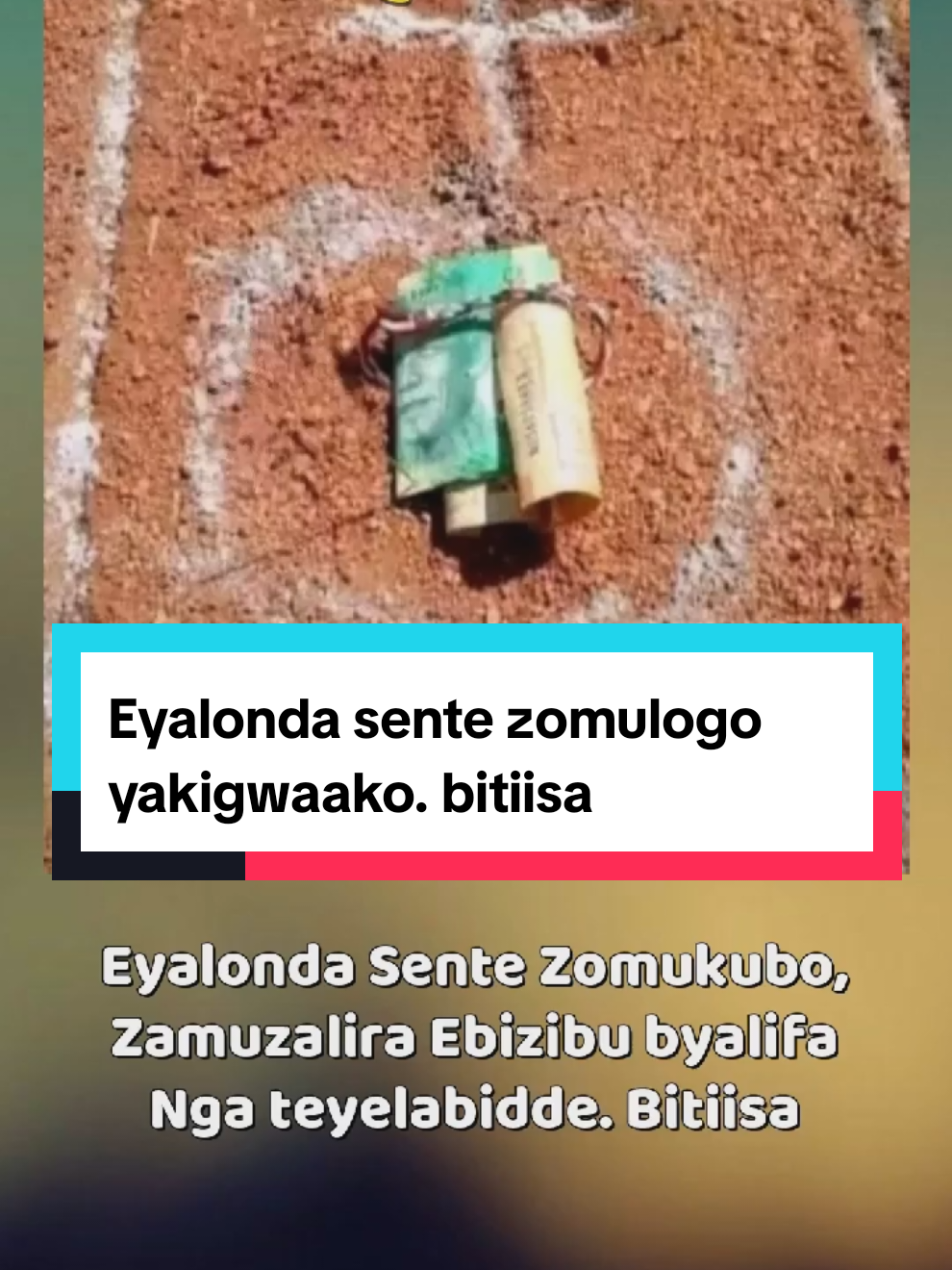 @Todduka