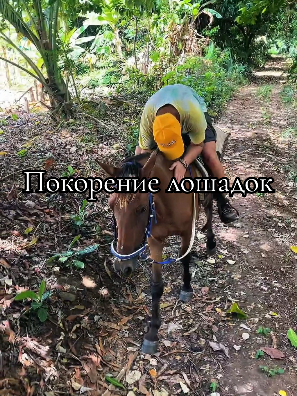 @Homatravel