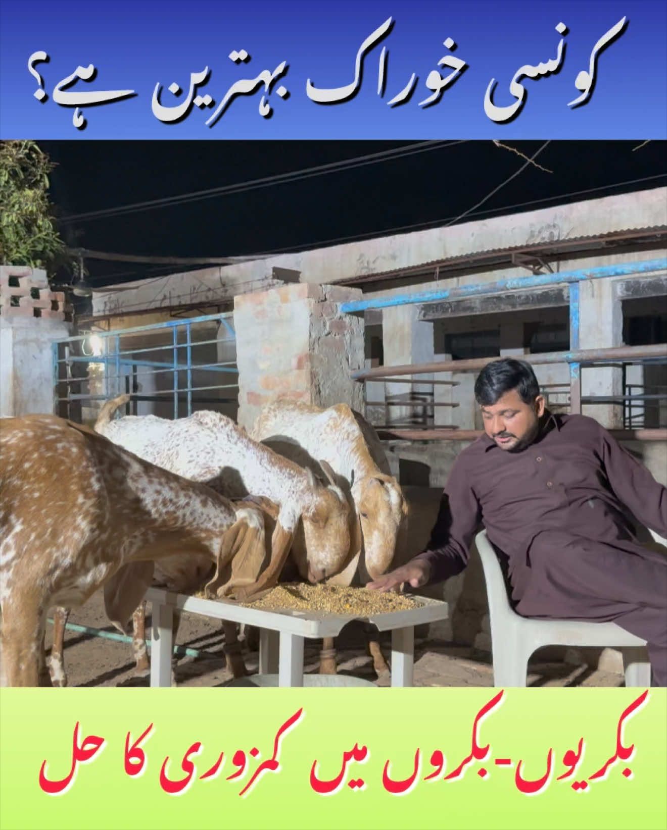 @Dr.Mohsin