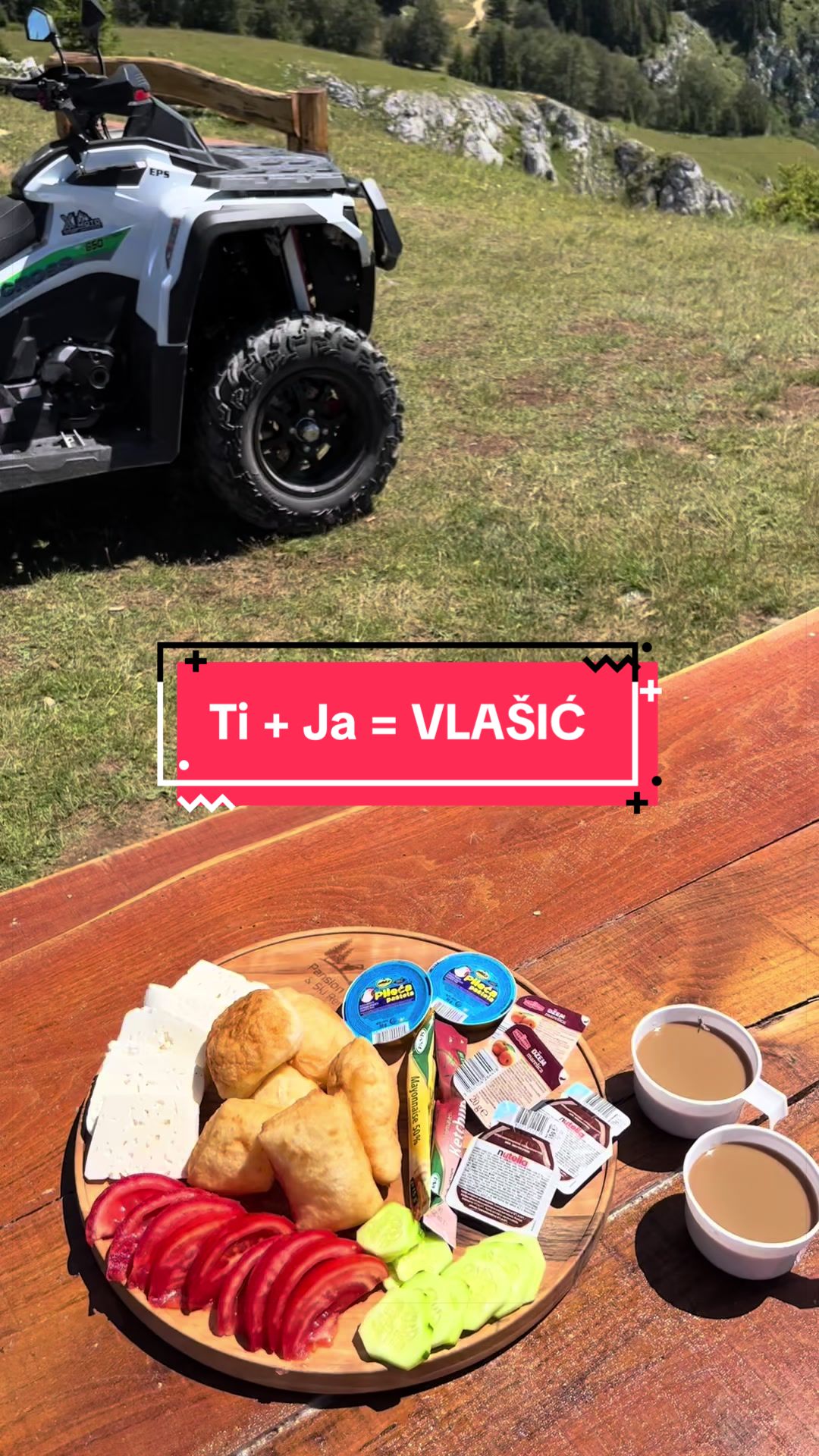 @vlasic.ba