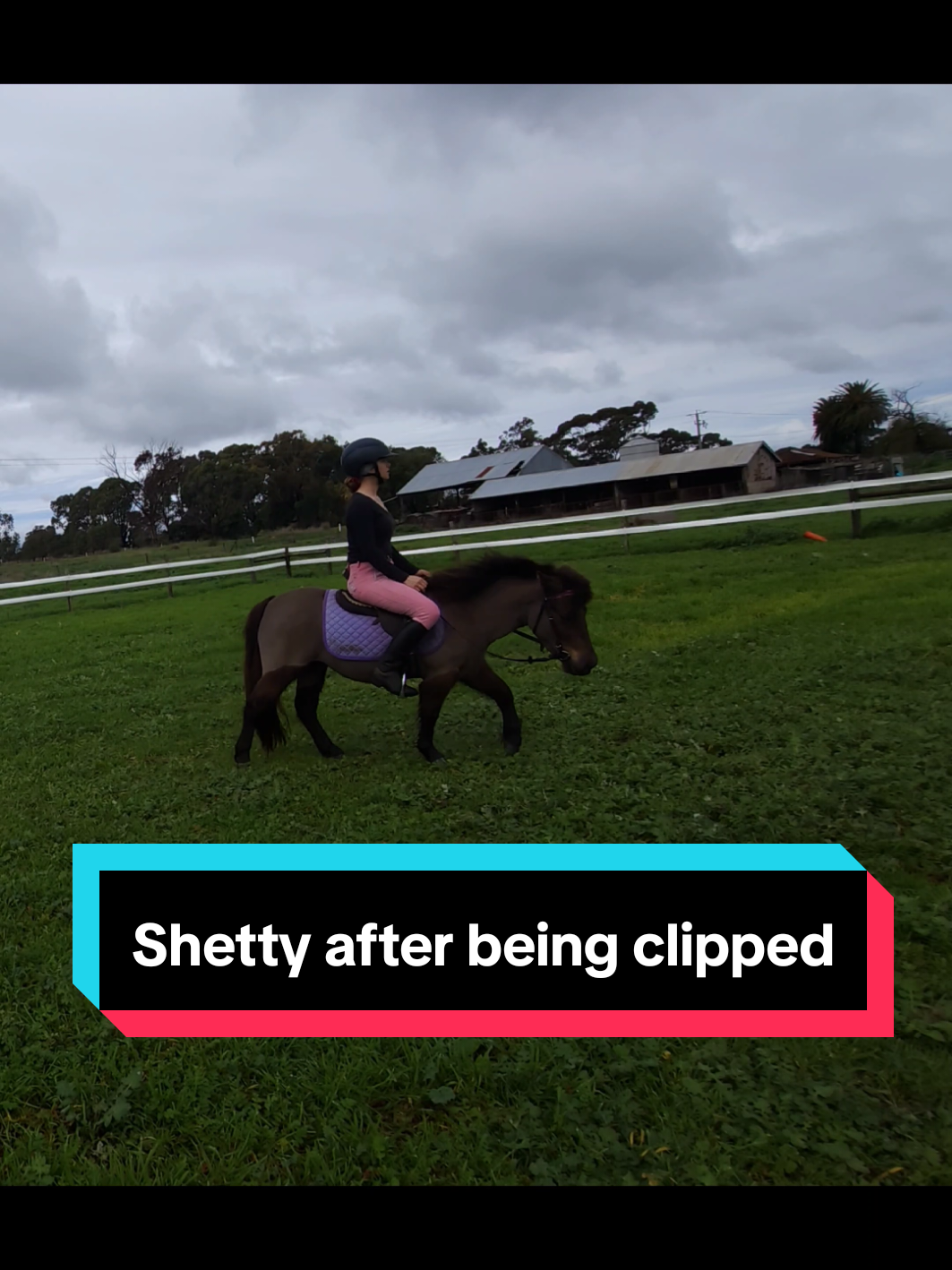 @Jess | Horse trainer