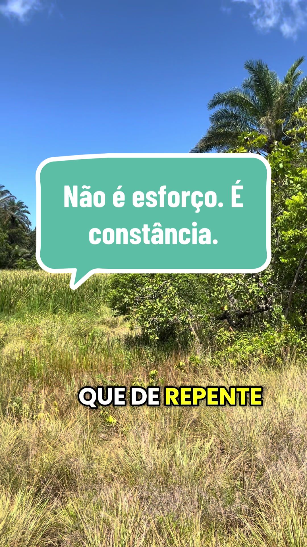 @Vanessa E. Santos | Terapeuta