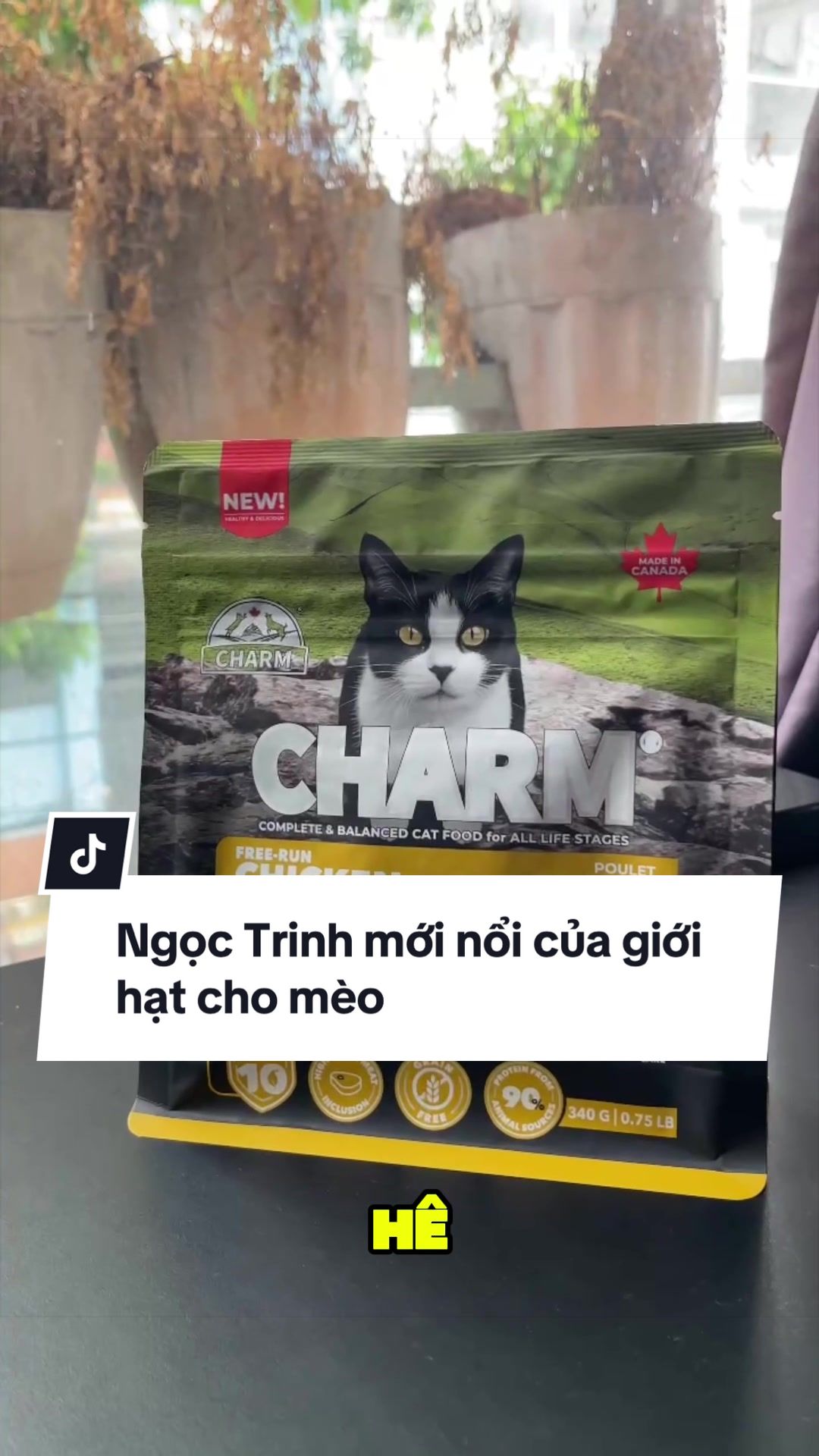 @Sếp Tôi Là Một Con Mè
