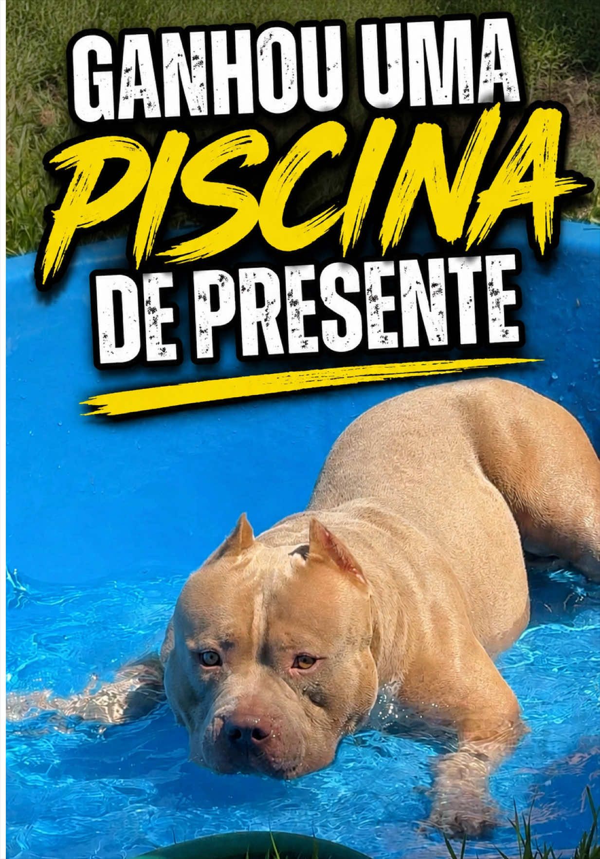 @Família Ragnar 🐶
