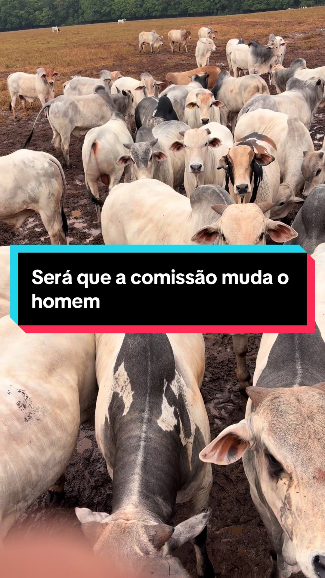 @🍀Santos🚜