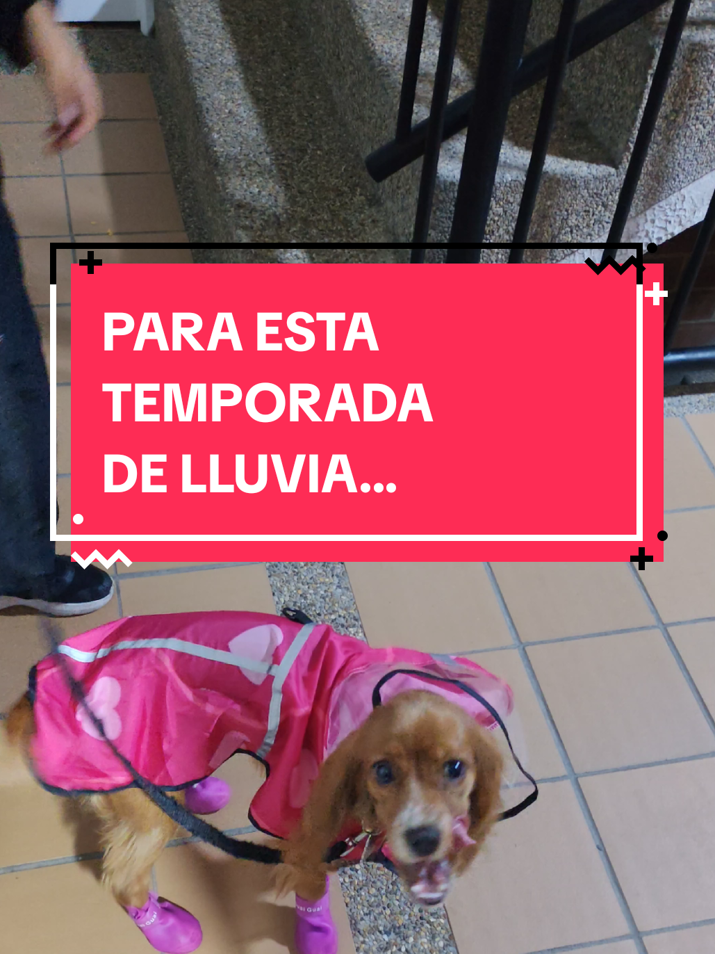 @LafamiliaFM🙏💓