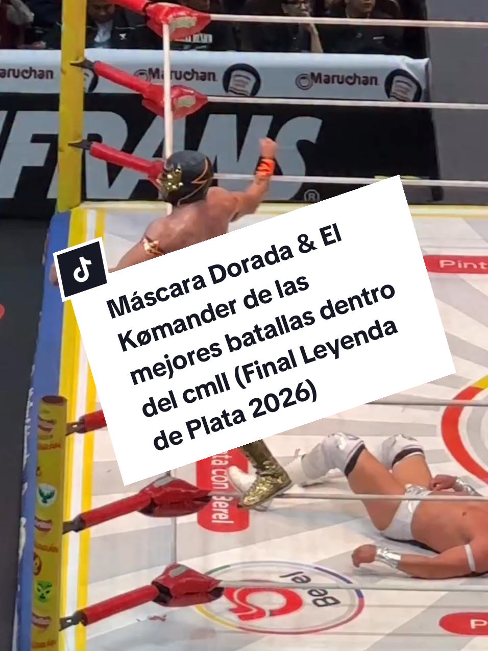@Damas&Gladiadores Lucha Libre