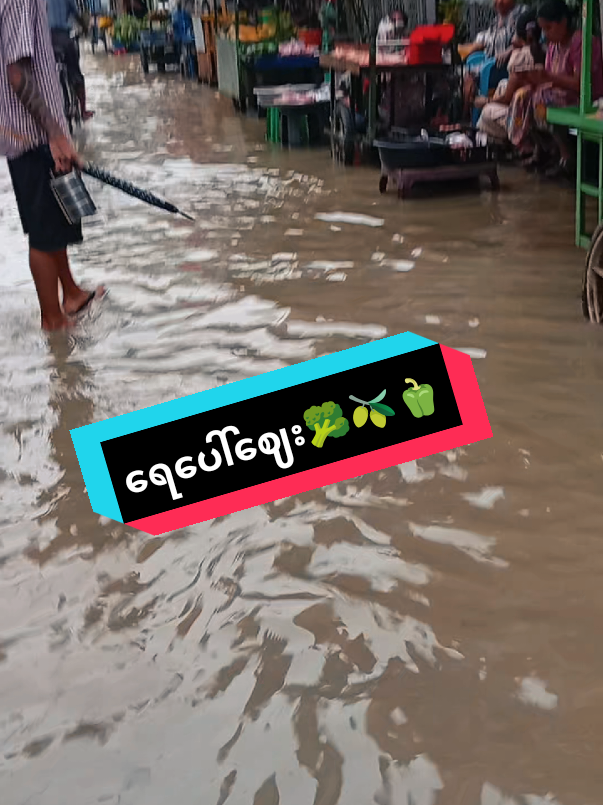 @🌵Han Ni Kyaw🌷