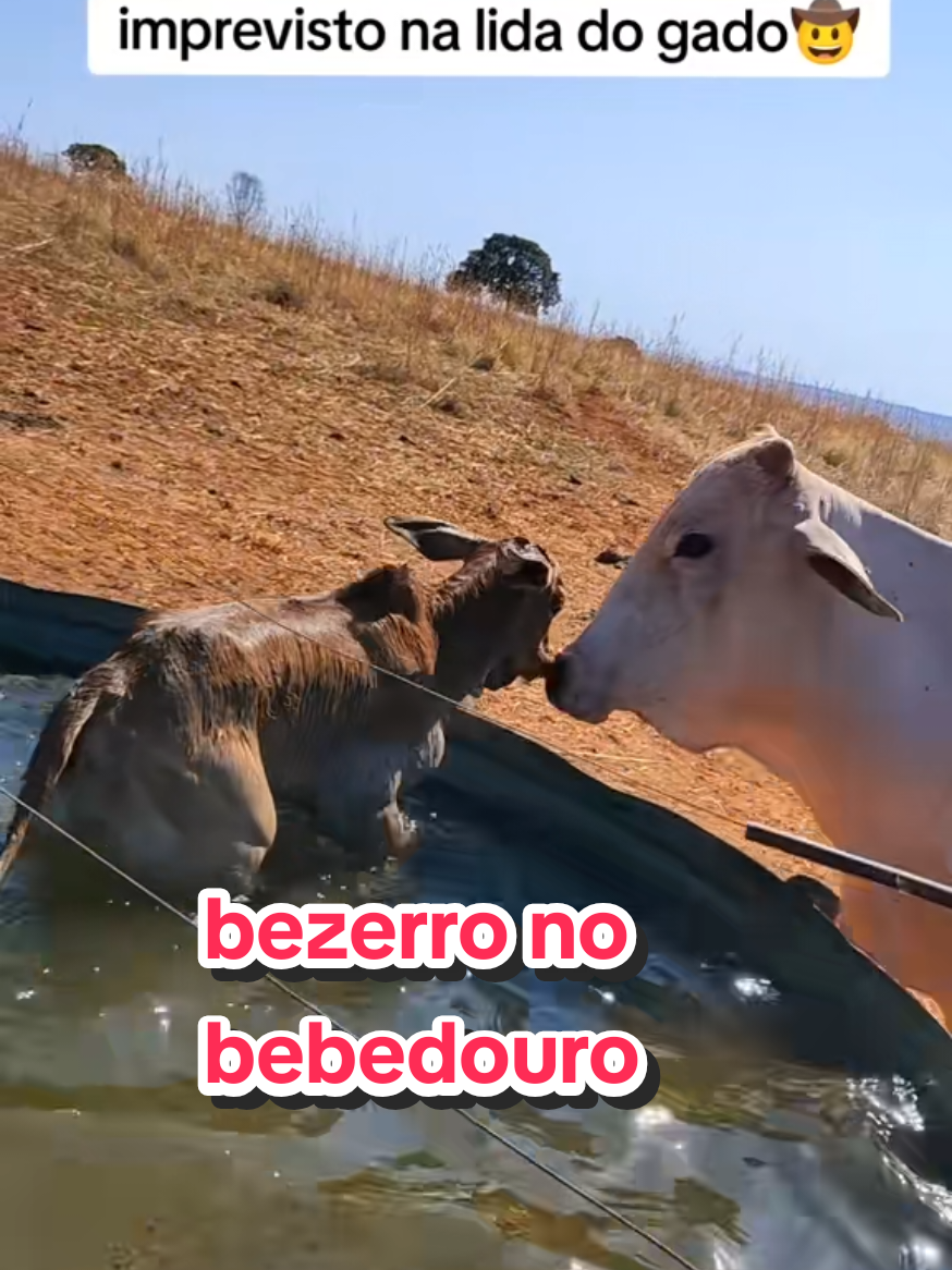 @Geovane neto