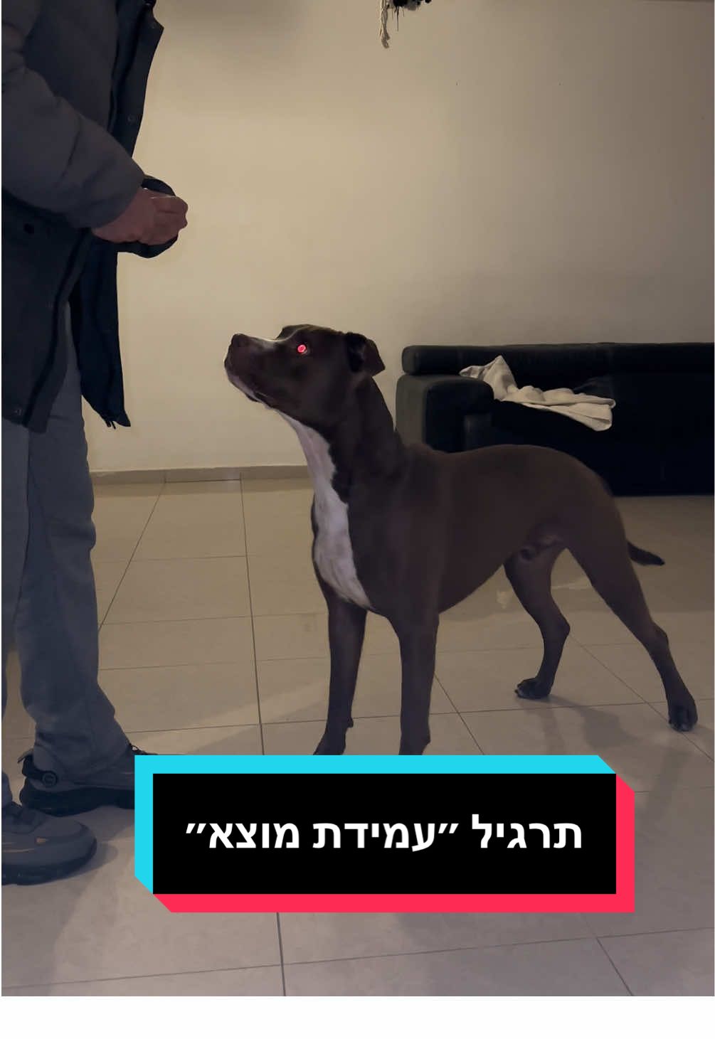 @Orel.Itzhaki ♓️🇮🇱