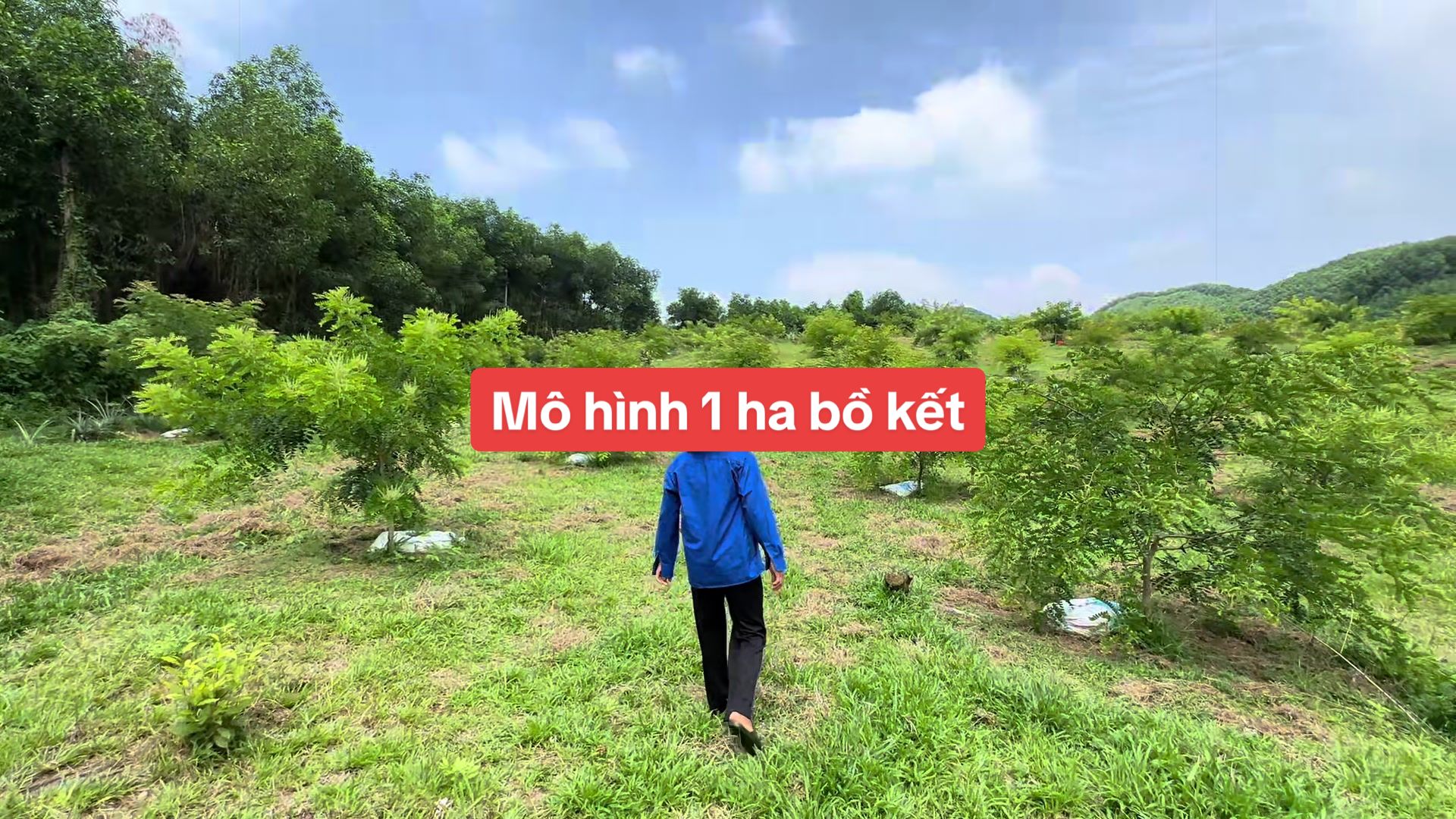 @Nh&agrave; Vườn Vũ Mai