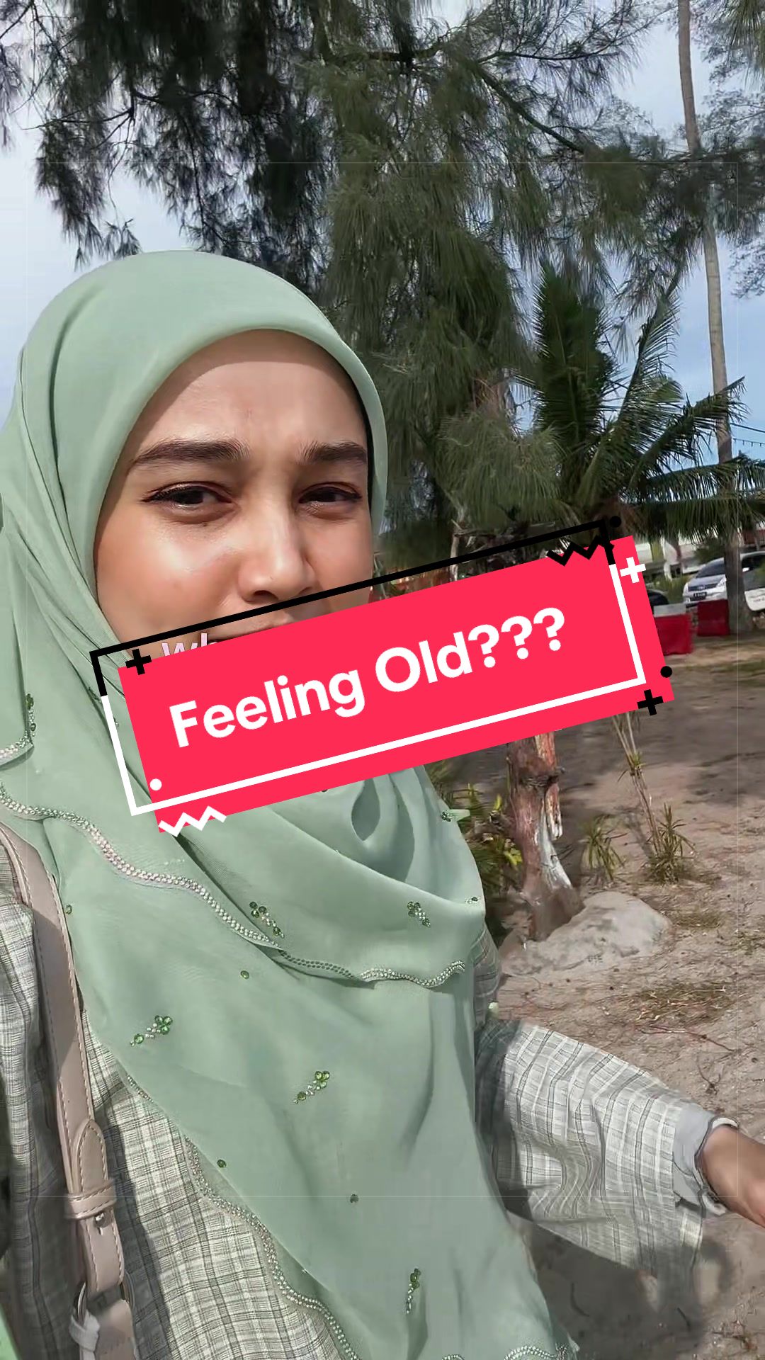 @Cik Puan Anis Roslee
