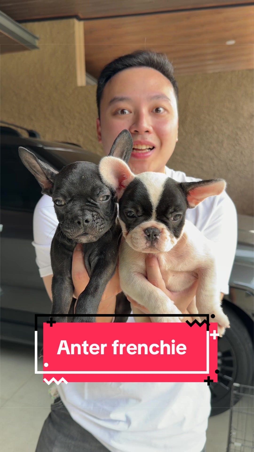 @Koko Guguk