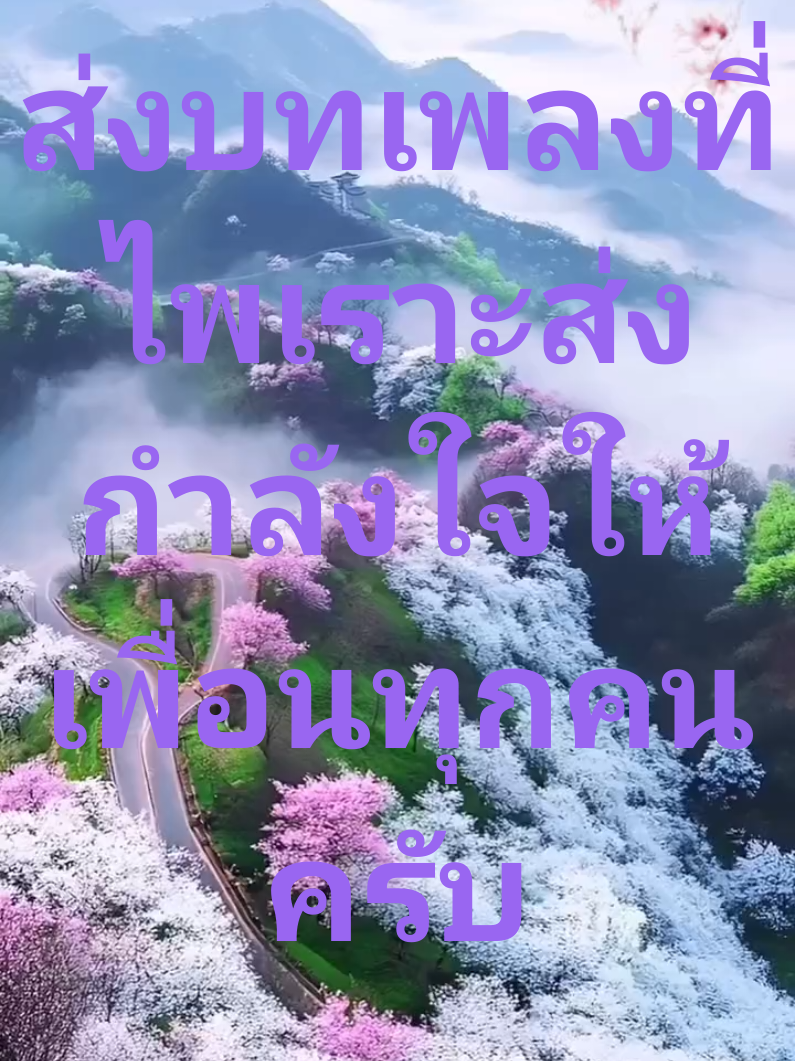 @suwatpakdinok