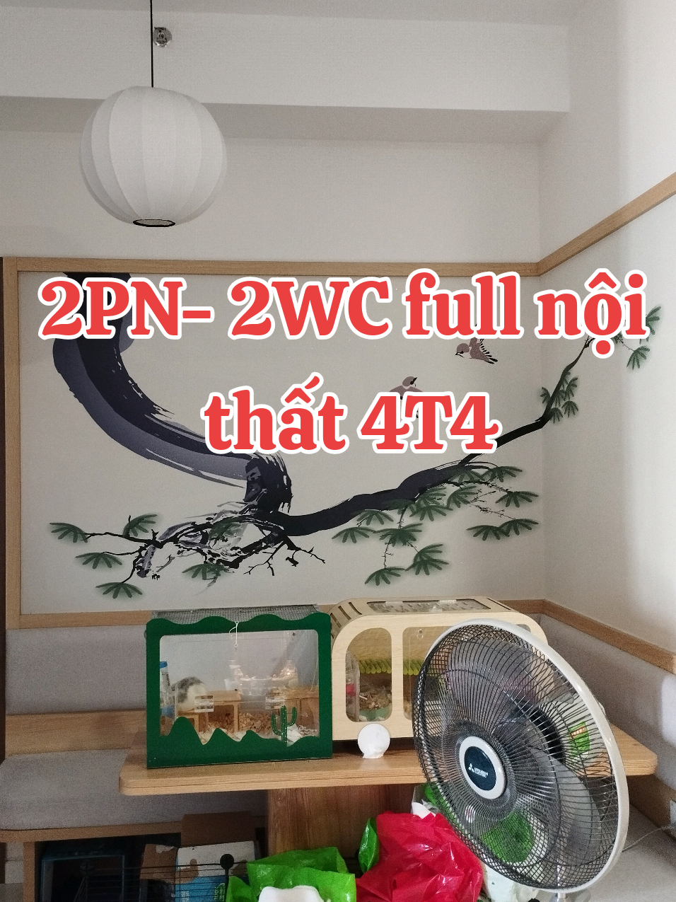 @Cùng Ngọc Săn nhà đẹp giá tốt