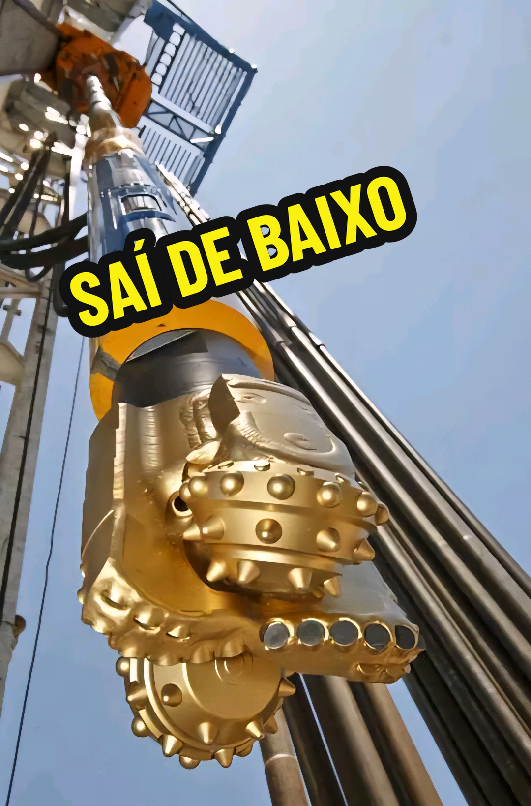 @RAIZ DO SABER