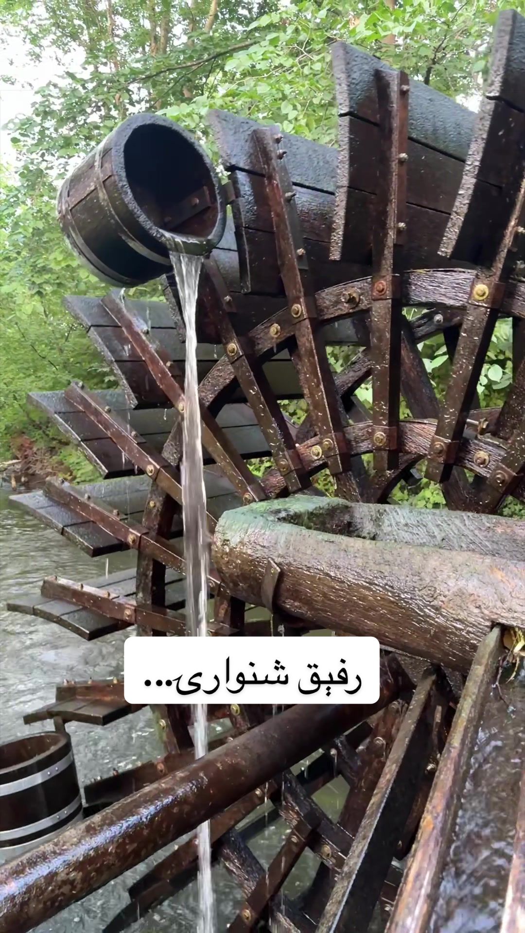 @Shinwari 🇩🇪