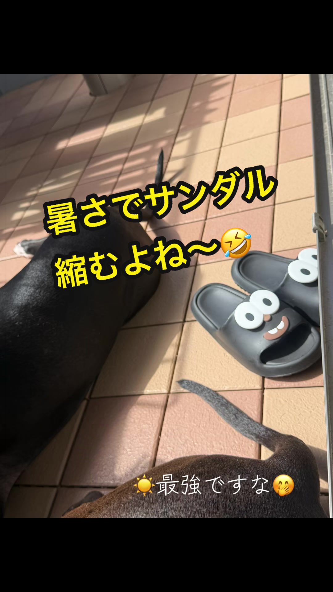 @✌︎·͜·(PᗜN)·͜· ︎︎ᰔᩚ
