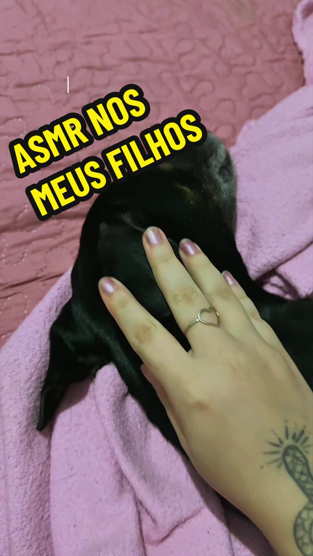 @LUDI ASMR 🌐