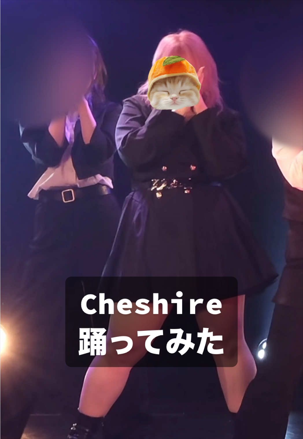 @ぷにぷにたぬき