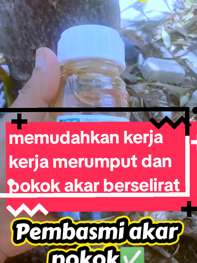 @budokjuruh@amirjo