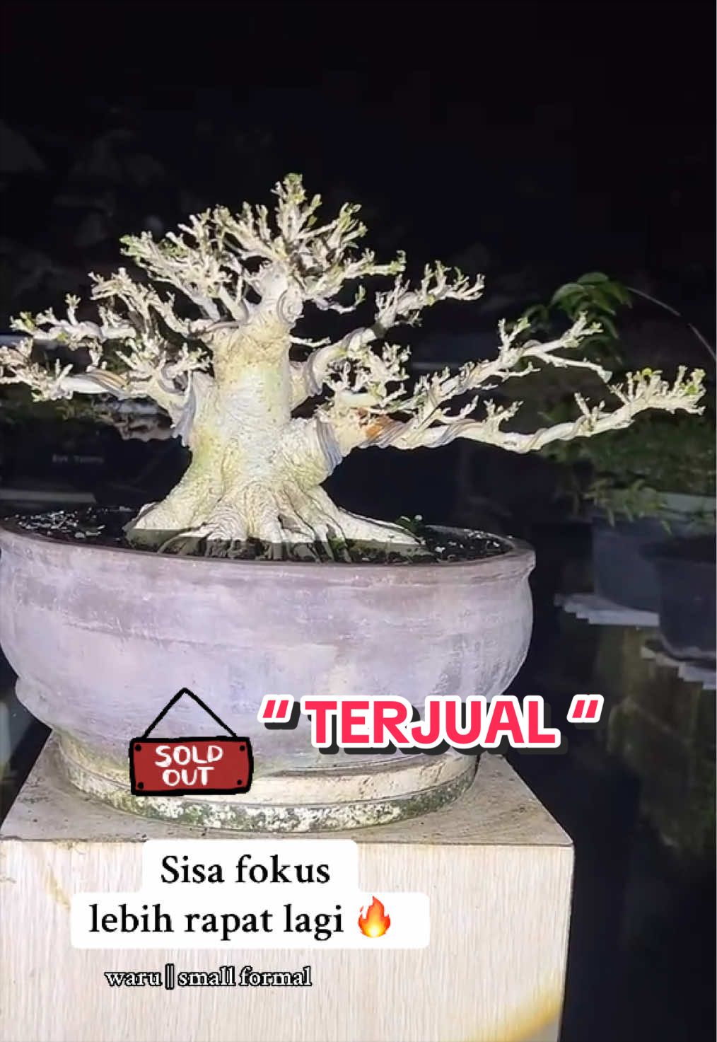 @warbonsai_purwodadi
