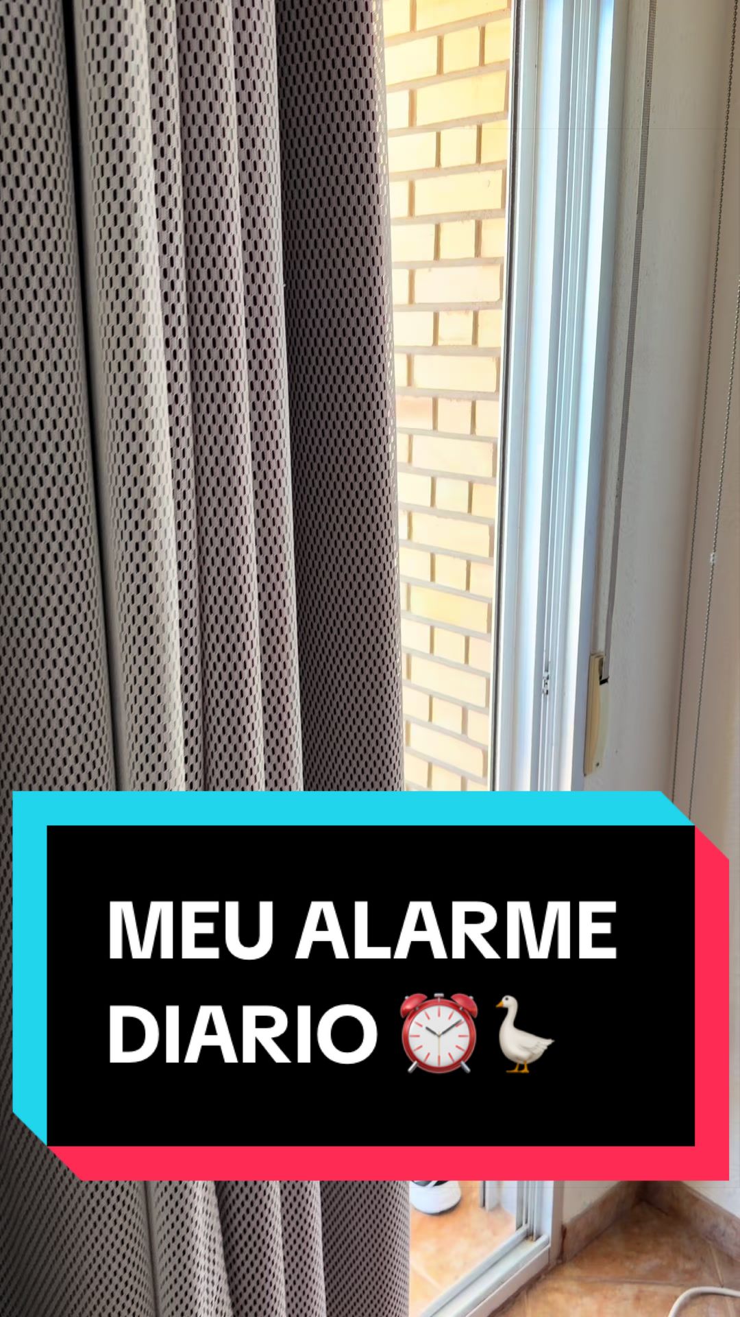 @Shayla Sandes 🇧🇷🇪🇸