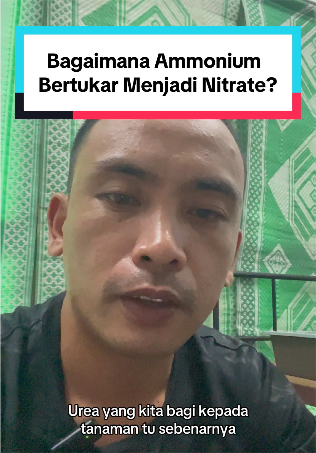 @Izat Aizie