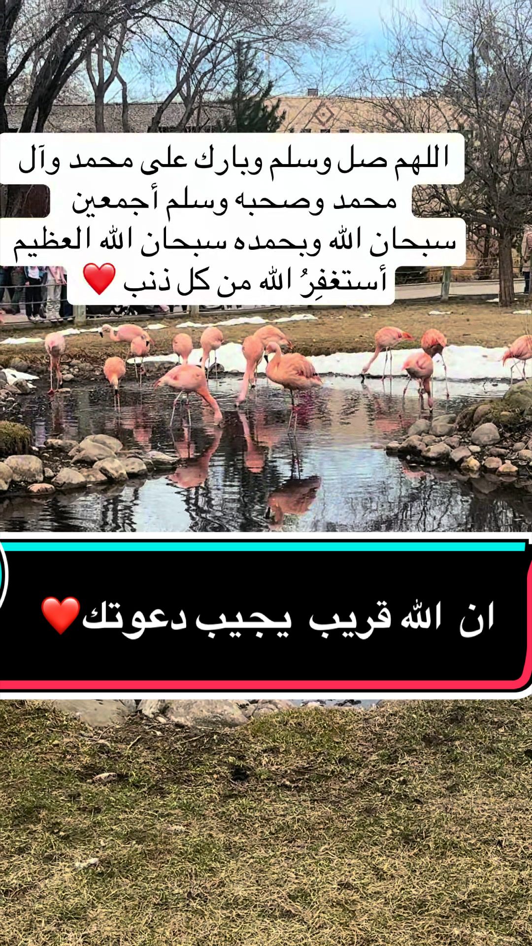 @sedral47
