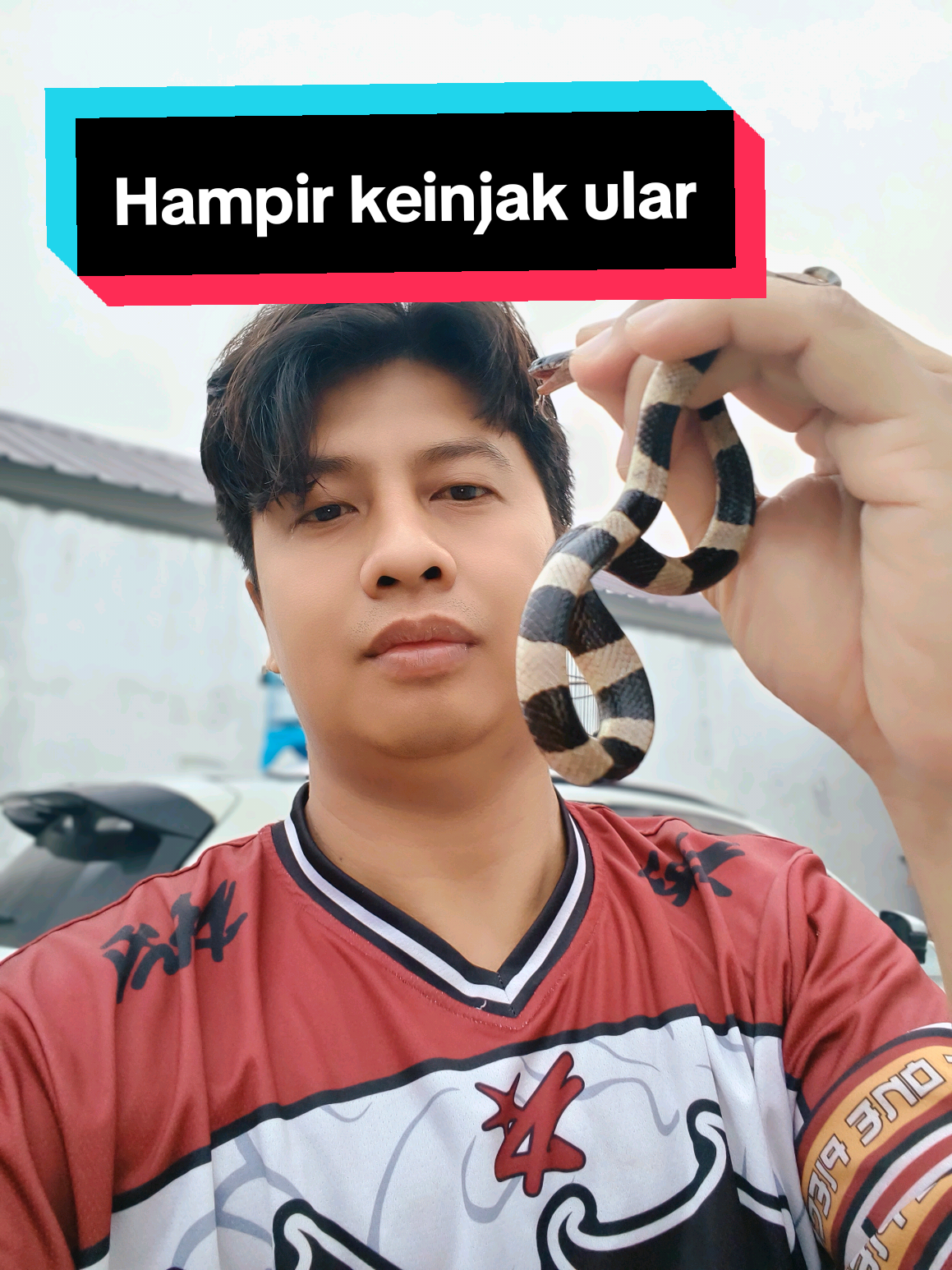 @Denny Aprisani