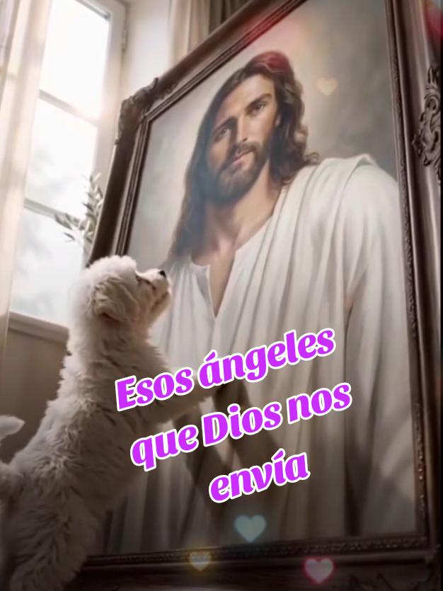 @Marisa Picco
