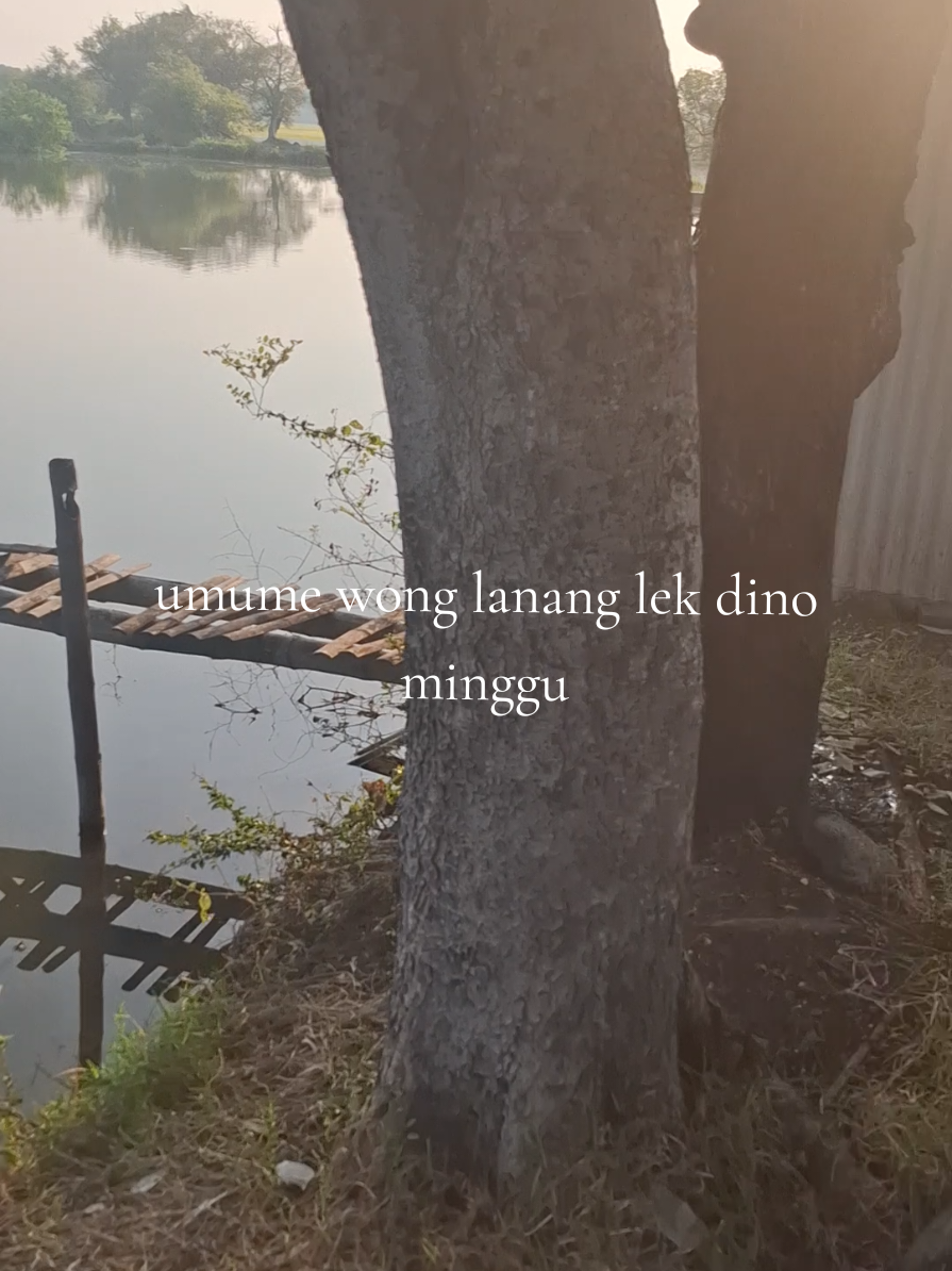 @ใใ ๐
๐ท๐ด๐
๐ฐ๐
๐ด๐ฐ ใใ