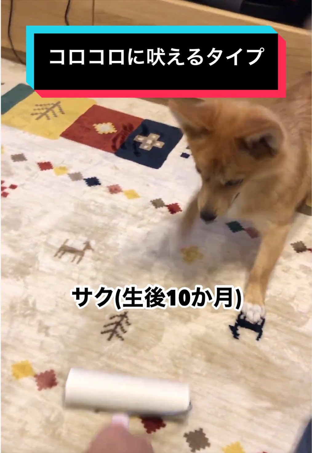 @サクサクビスケット