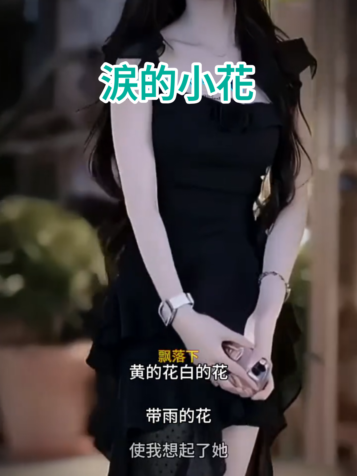 @美丽的世界