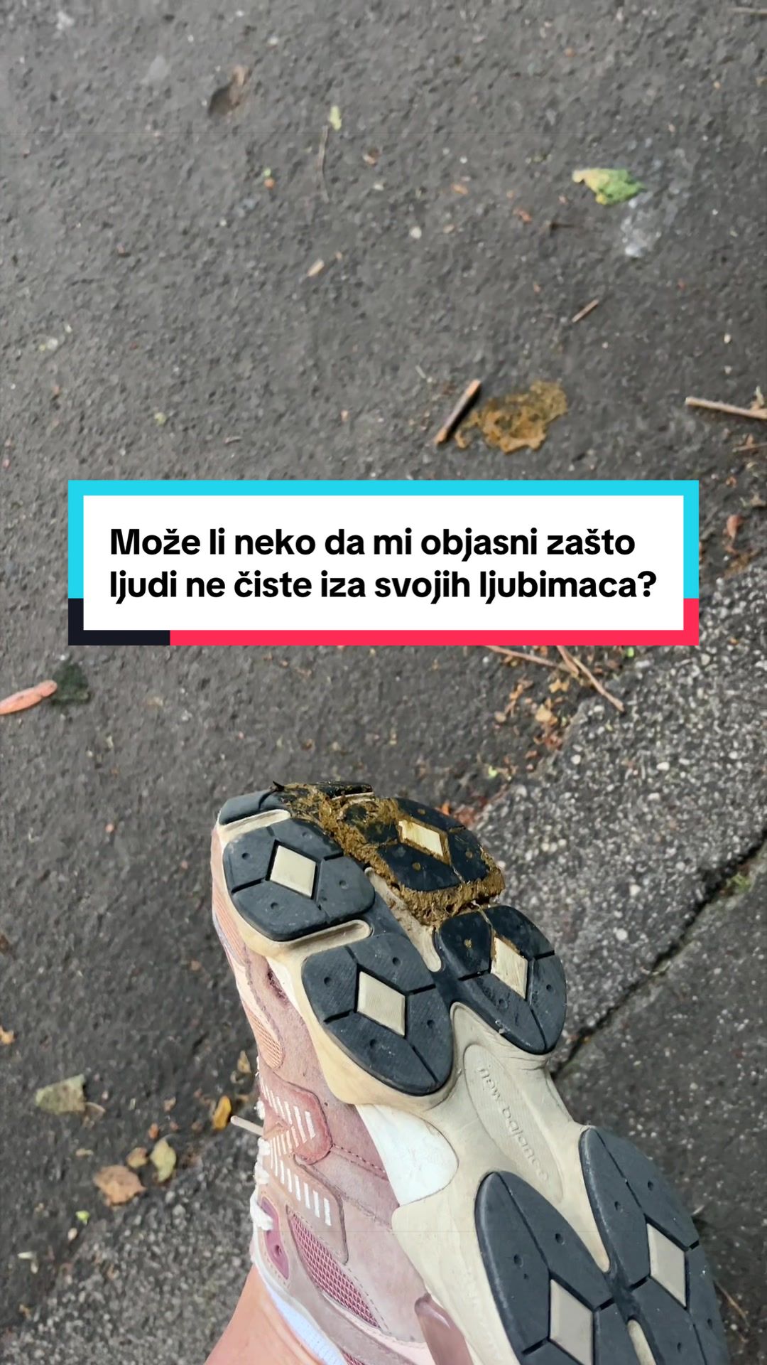 @Suzanin.svet