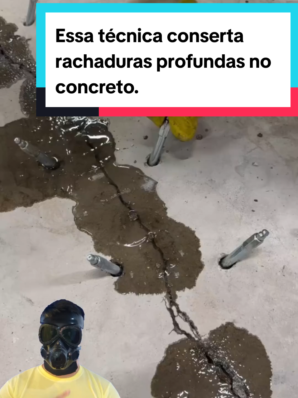 @Mundo da Curiosidades