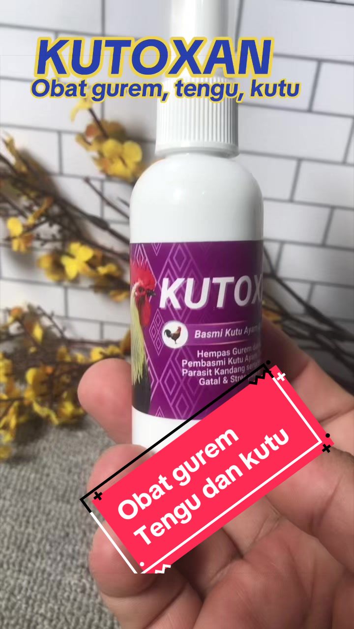 @KUD TANI