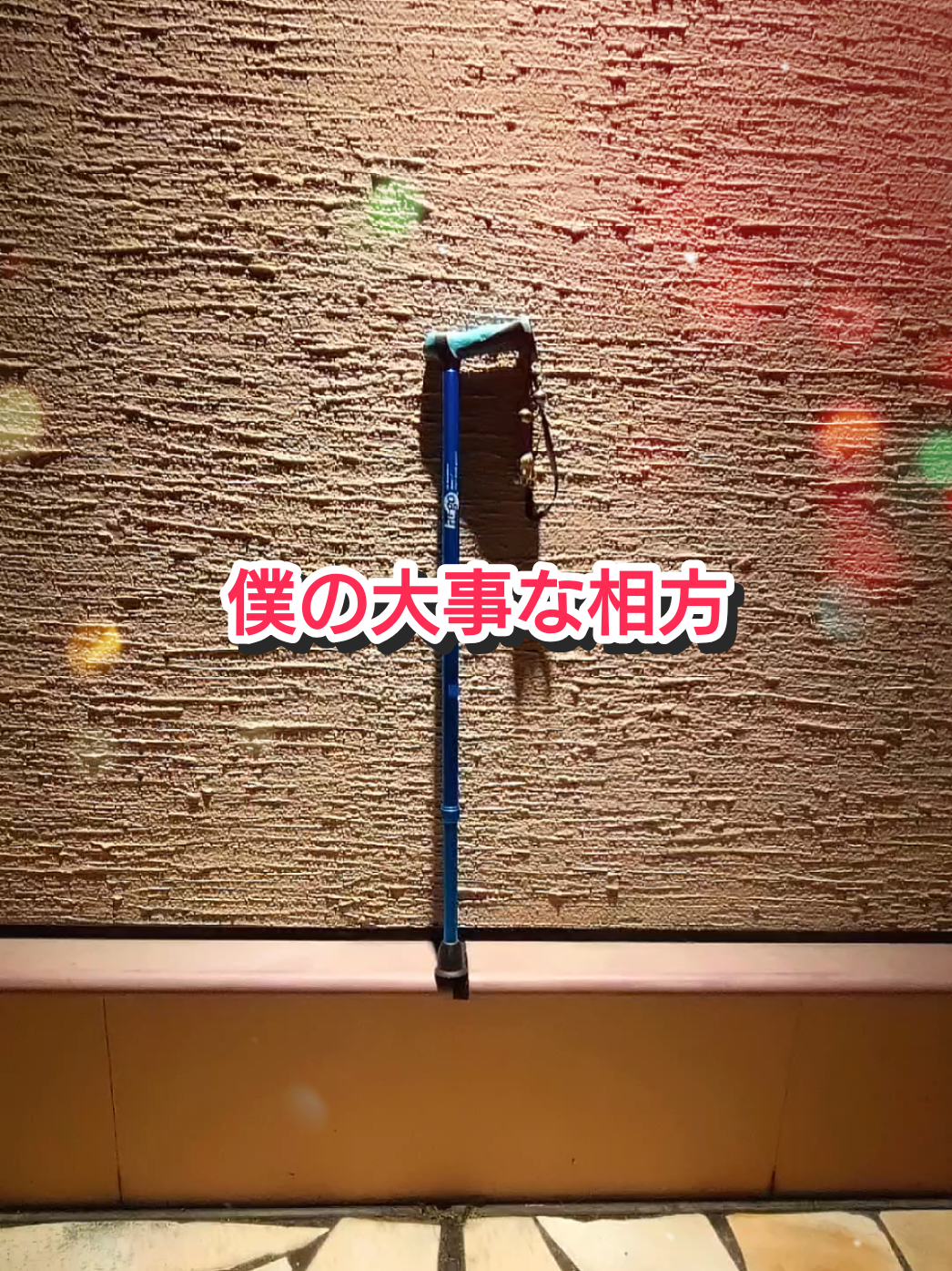 @ストイック父ちゃんトト