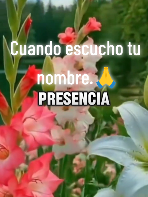 @Herminia Gonz&aacute;lez.