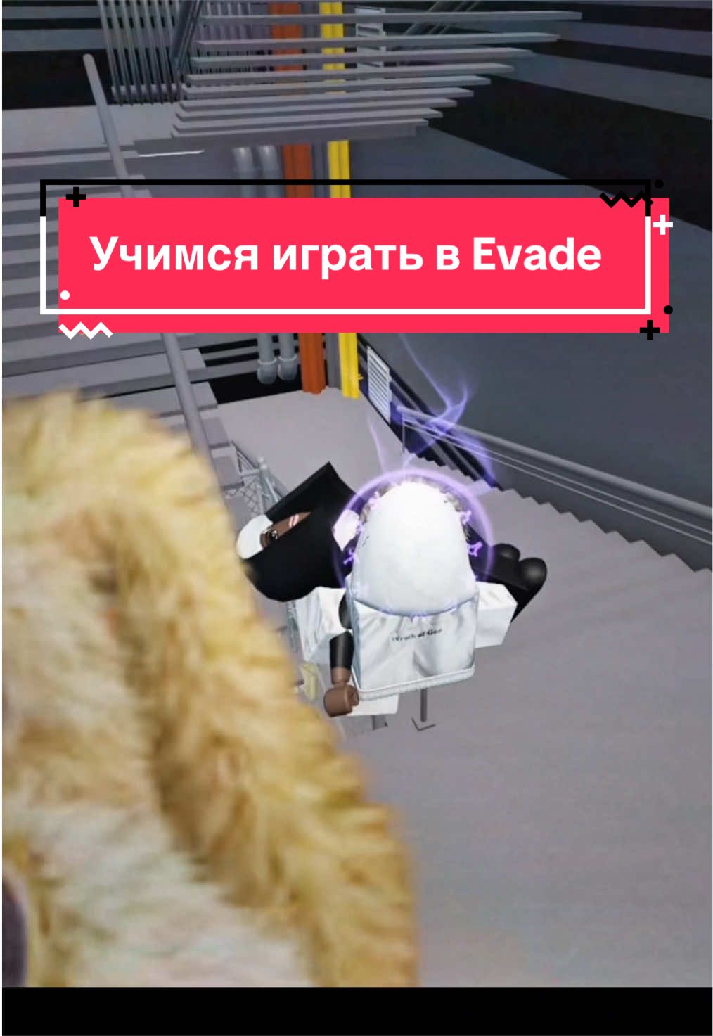 @winst