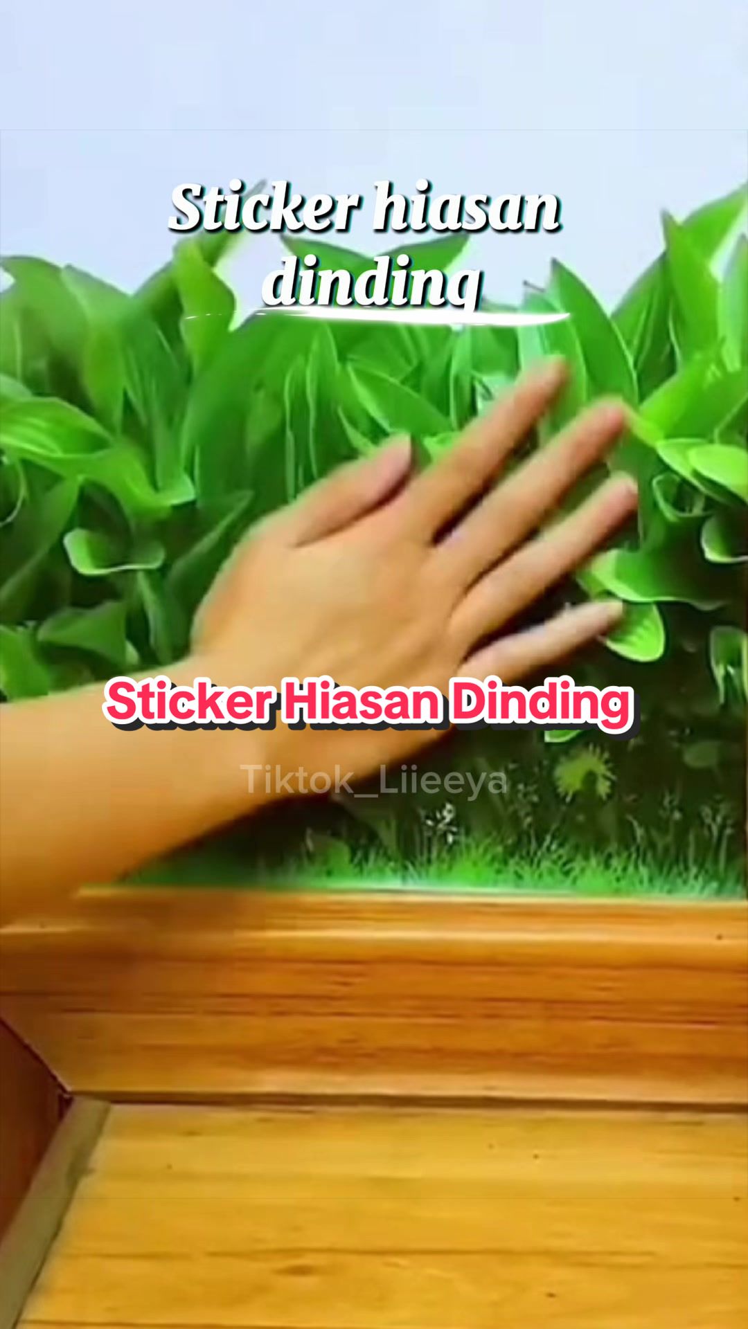 @Liya