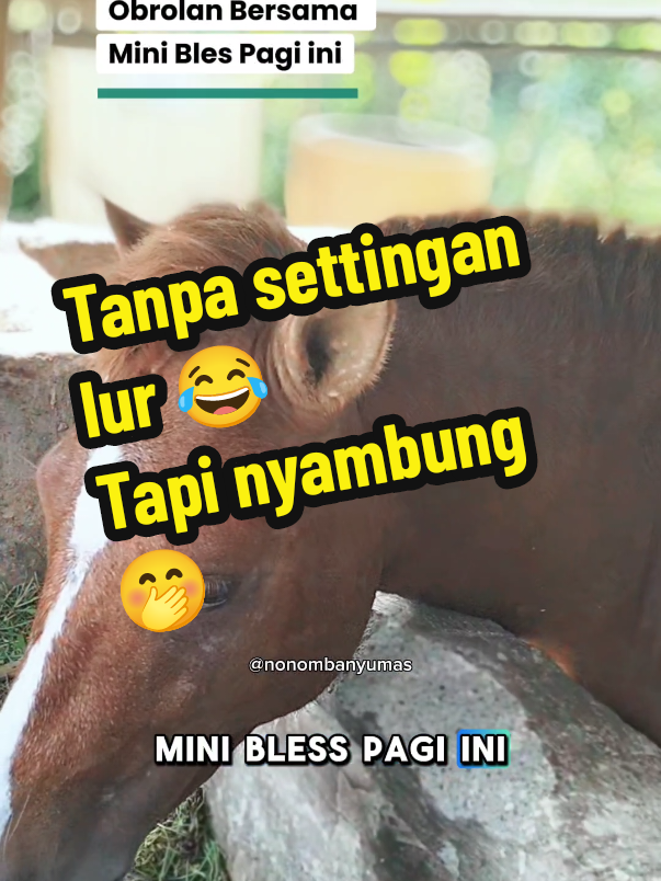 @Nono Mbanyumas