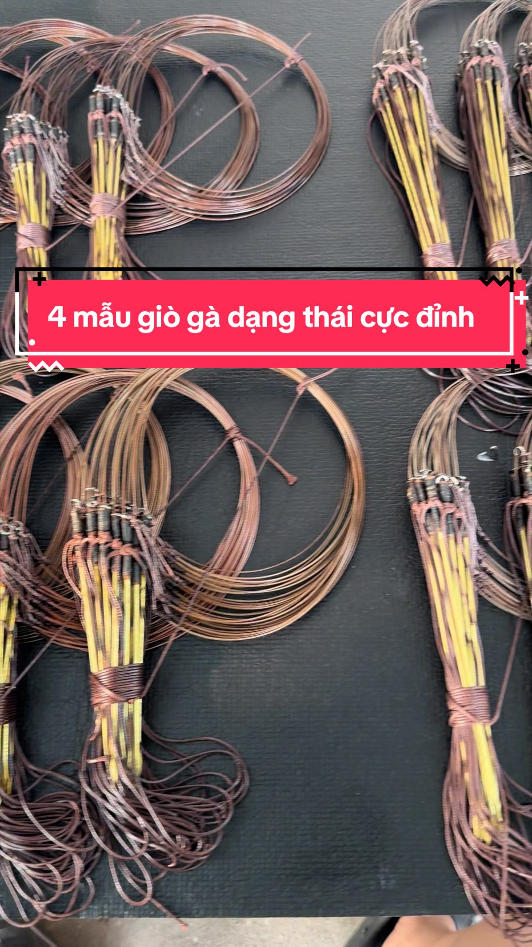 @Shop linh 09.69722536