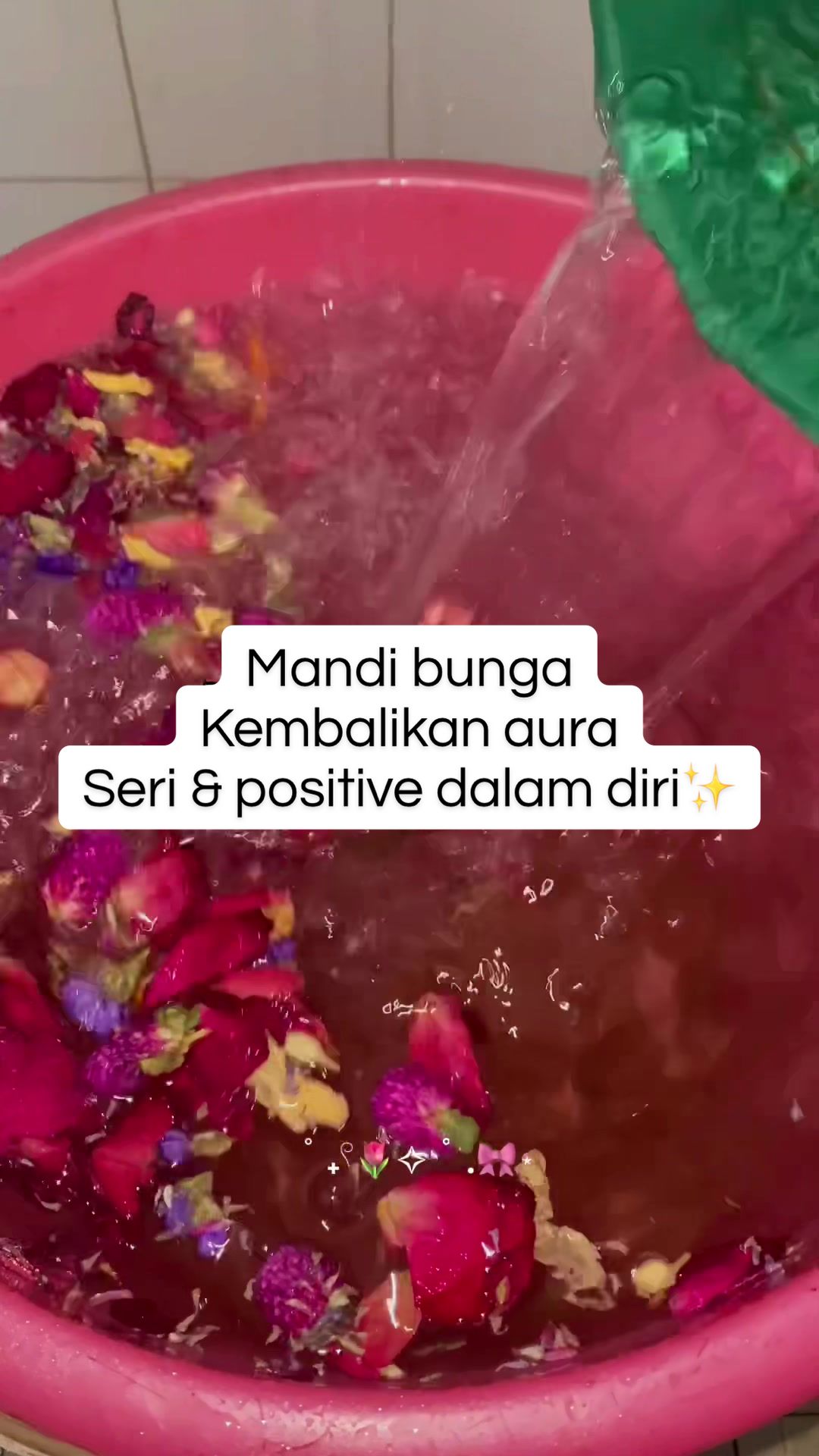 @Shima Zara